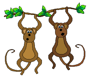 Find Two Playful Monkeys Hanging From A Tree Branch Plus The Same
