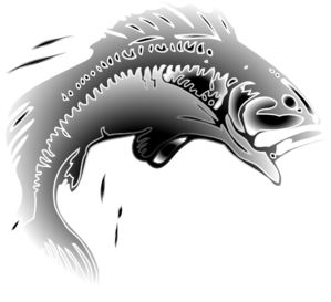 Jumping Fish Clip Art At Clker Com   Vector Clip Art Online Royalty    