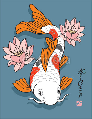Koi Carp Fish With Lotus Flowers Stock Image And Royalty Free Vector    