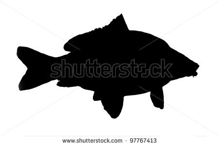 Koi Fish Silhouette