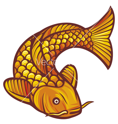 Koi Fish Vector Art   Download Coi Vectors   1262170