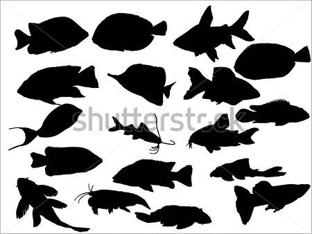 Silhouette Of Fish Clip Arts   Clipartlogo Com