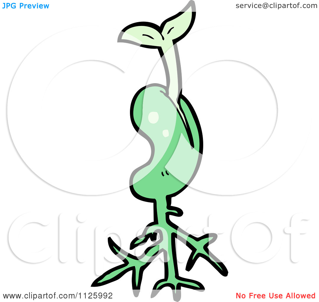 Of A Sprouting Green Plant Seed 3   Royalty Free Vector Clipart