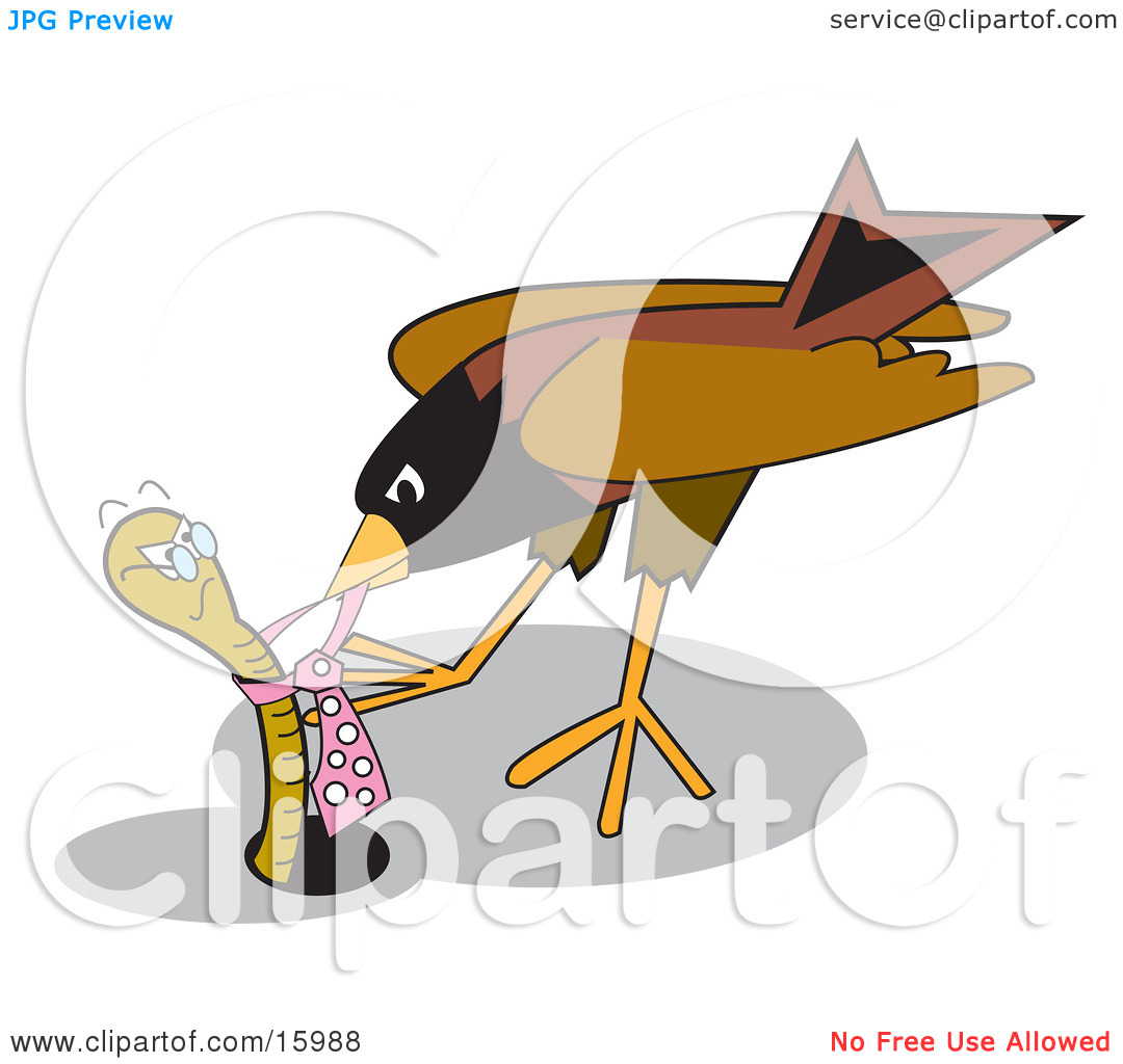 Robin Bird Pecking At An Aggressive Worm S Tie Clipart Illustration By