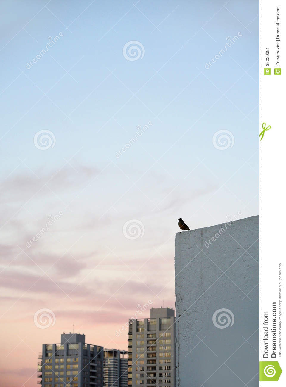 Small Bird Standing On A Building Ledge Stock Image   Image  32329091