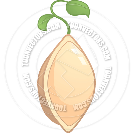 Sprouting Seed Clipart Seed Sprouting   Enlarge Image