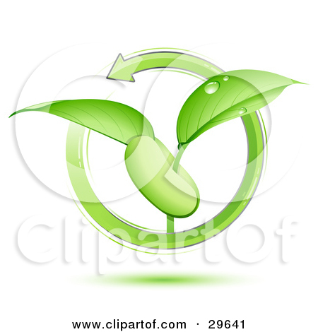Sprouting Seed Illustration Clipart Illustration Of A