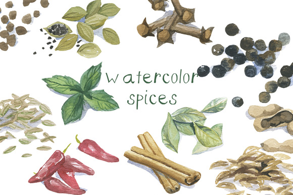 Watercolor Spices Clip Art   Graphics On Creative Market