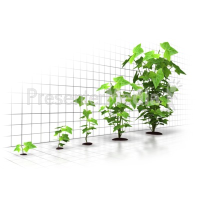 Organic Growth Graph   Wildlife And Nature   Great Clipart For