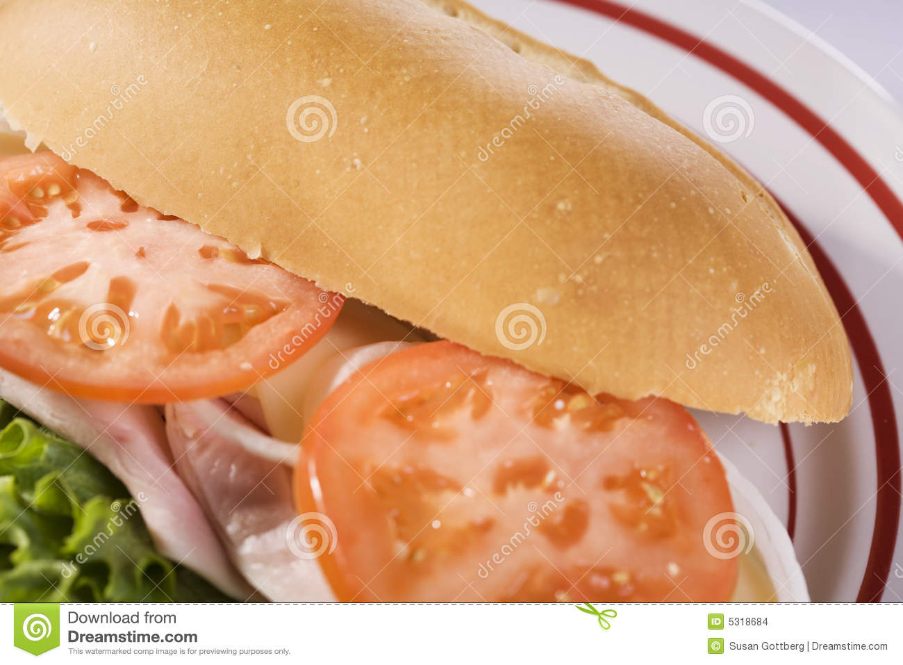 Turkey Sandwich Stock Images   Image  5318684