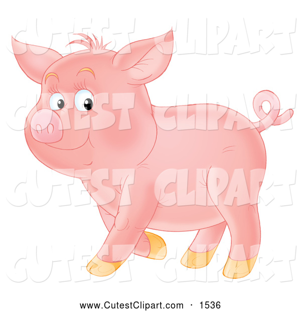 Clip Art Of A Smiling Proud Curly Tailed Pink Pig Standing In