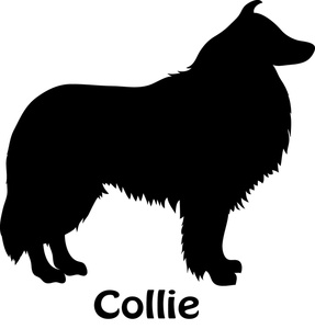 Collie Clipart Image   Black And White Collie Dog