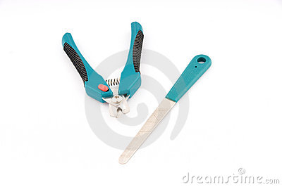 Pet Grooming Tools Stock Images   Image  8846244