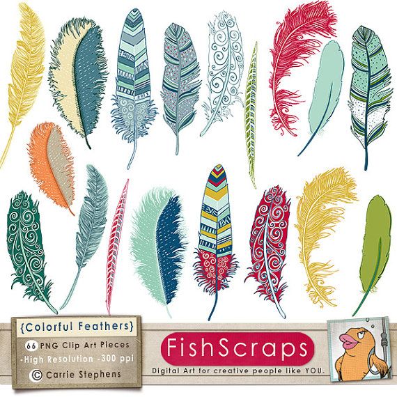 Birds Feathers Clipart Feathers Tattoo Birds Feathers Clips Art