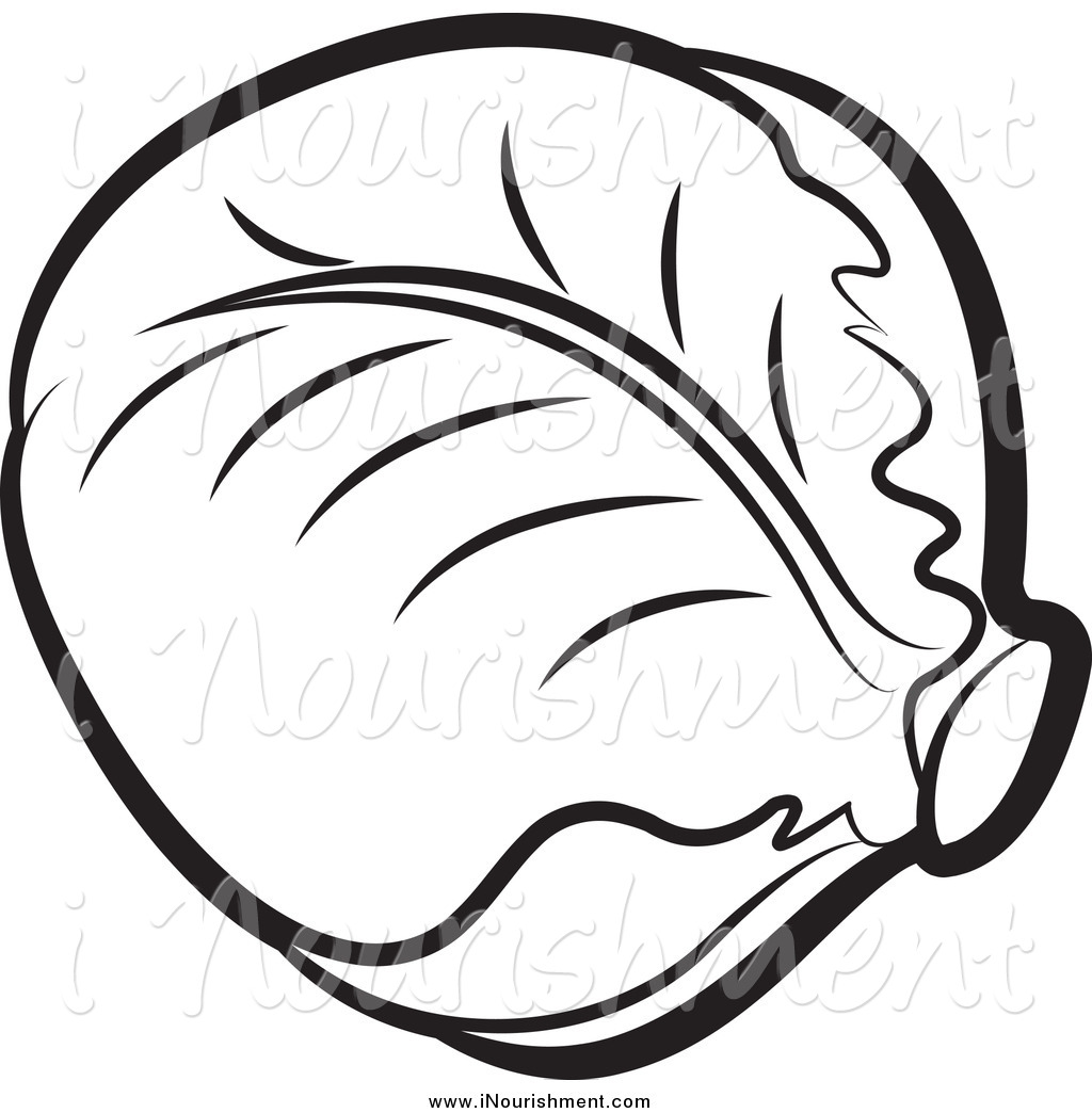Clipart Of A Black And White Head Of Cabbage By Lal Perera    5260