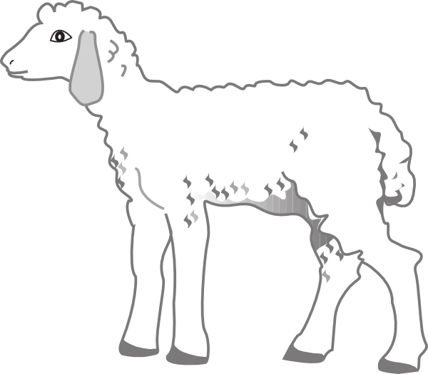 Fluffy Lamb Clip Art At Clker Com   Vector Clip Art Online Royalty