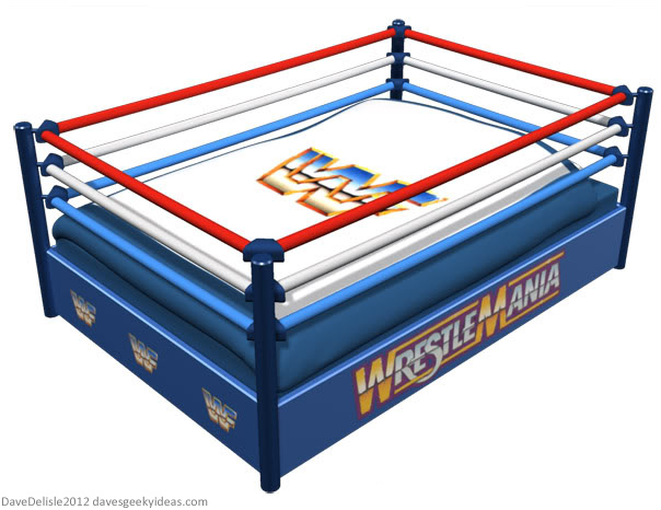 Geeky Beds Part 2  Wrestling Ring   Dave S Geeky Ideas