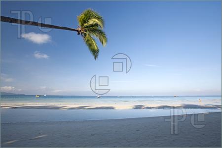 Picture Of The Beautiful Nature Of Boracay Island Philippines