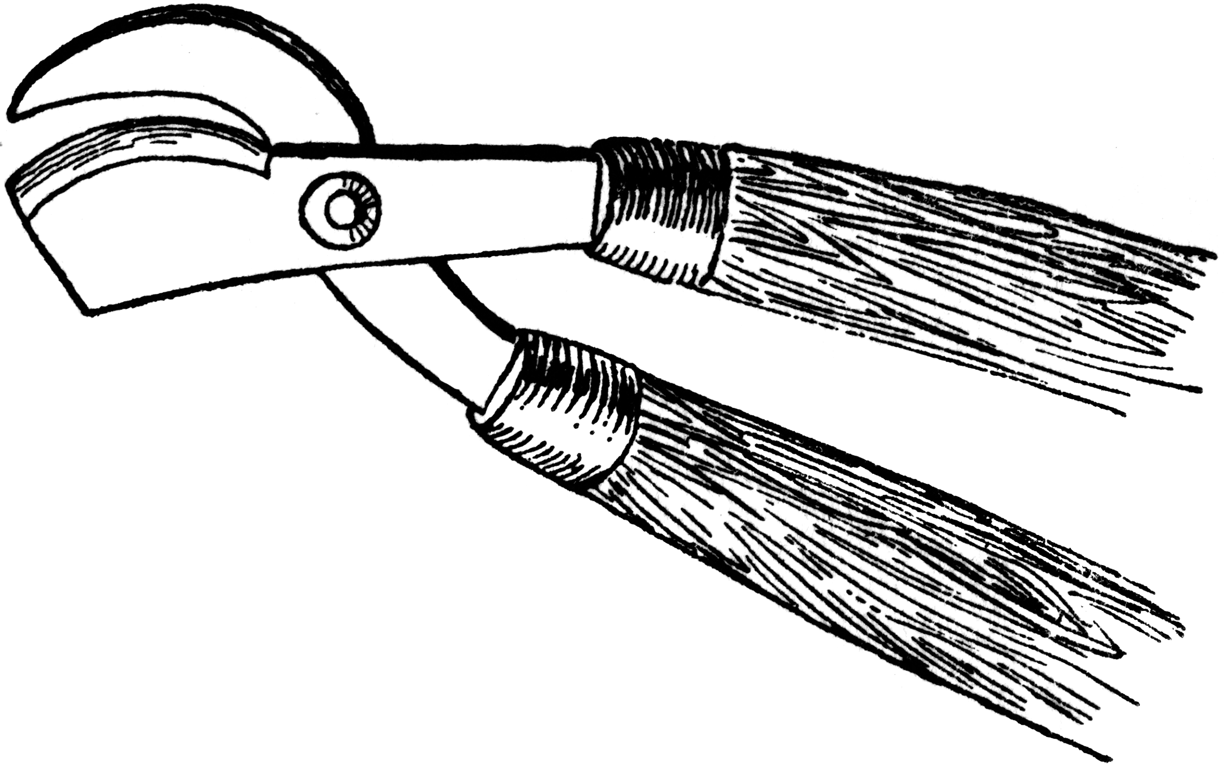 Pruning Shears   Clipart Etc