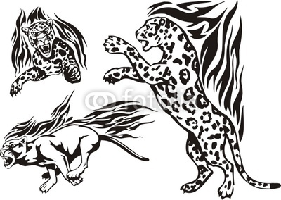 The Leopard Has Risen On Hinder Legs  Flaming Big Cats  Stock Image