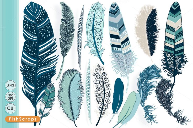 Tribal Feather Clipart   Ocean Blue
