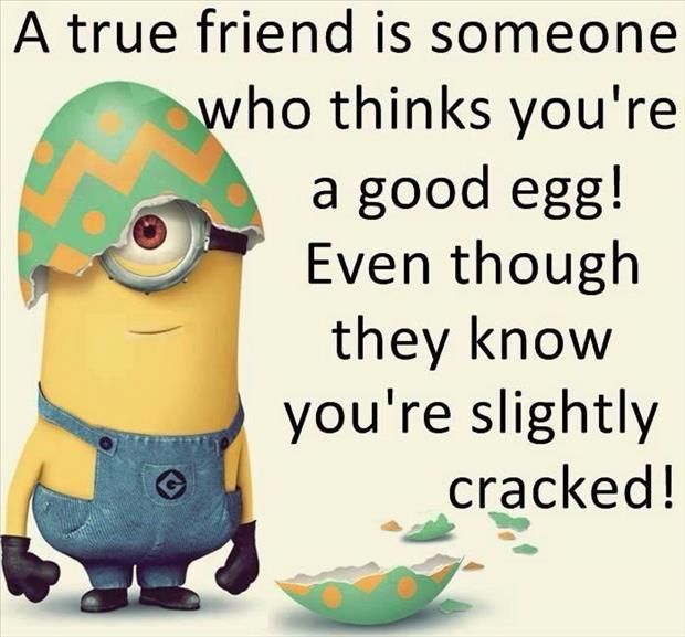 Best 30 Minions Best Friend Quotes  Humor  Funny