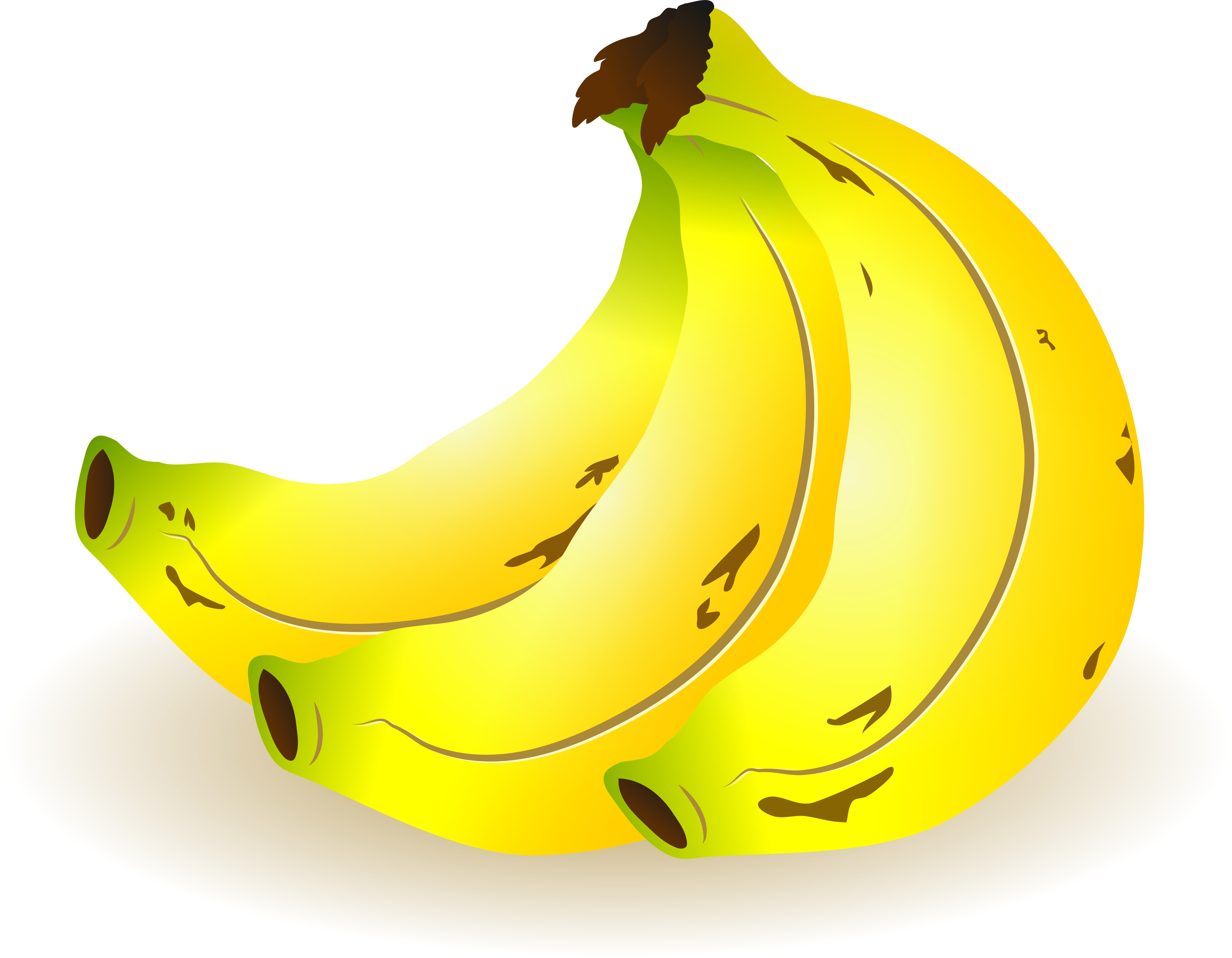 Bunch Of Bananas   Free Images At Clker Com   Vector Clip Art Online
