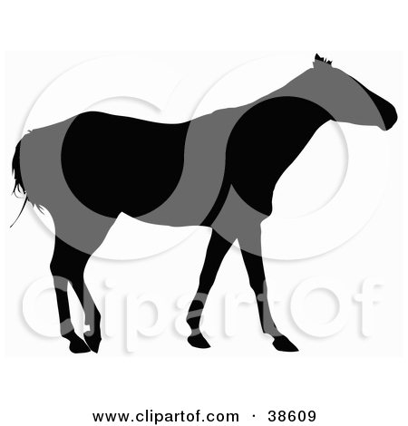 Clipart Illustration Of A Side View Of A Horse Silhouetted In Black By