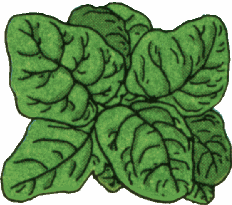 Colour Vegetable Clip Art Page