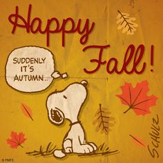     Fall Themed Snoopy Comic In Place Of An Actual Fall For Cotton