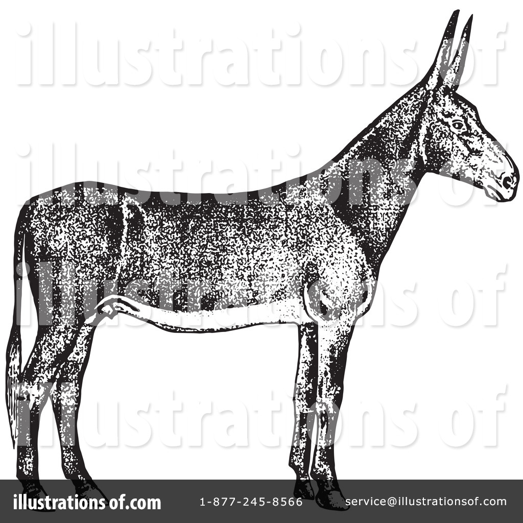 Mule Clipart  1135866 By Picsburg   Royalty Free  Rf  Stock    