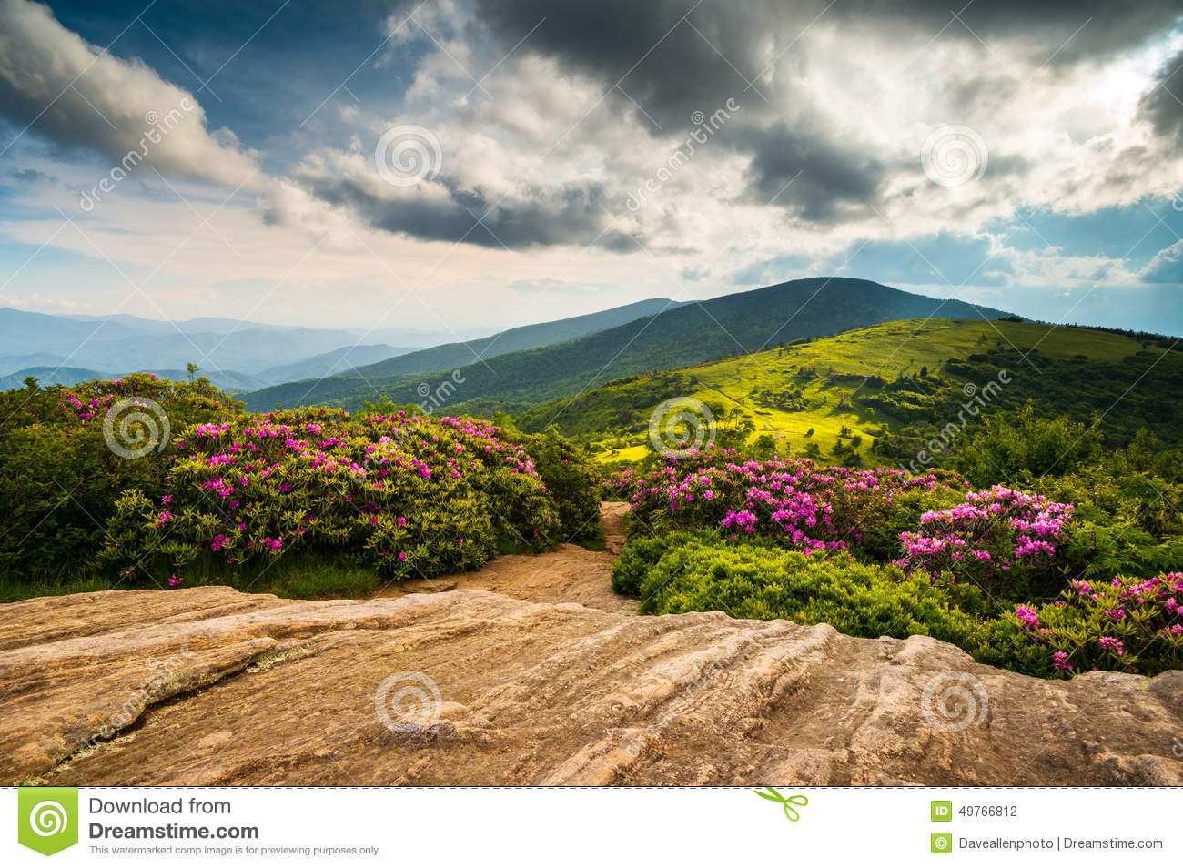 North Carolina Appalachian Trail Spring Scenic Mountains Landsca Stock