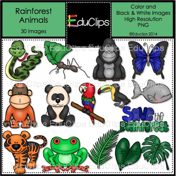 Rainforest Animals Clip Art Bundle  Color And B W    Welcome To