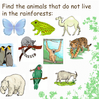 Rainforest Animals Clipart Five Of These Animals Live In