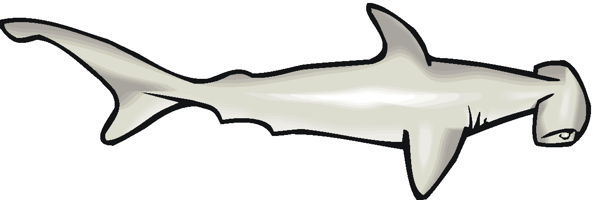 Shark Clip Art Source Http Imgarcade Com 1 Tiger Sharks Clipart