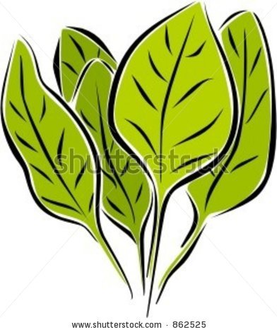 Spinach Clip Art Spinach Clipart