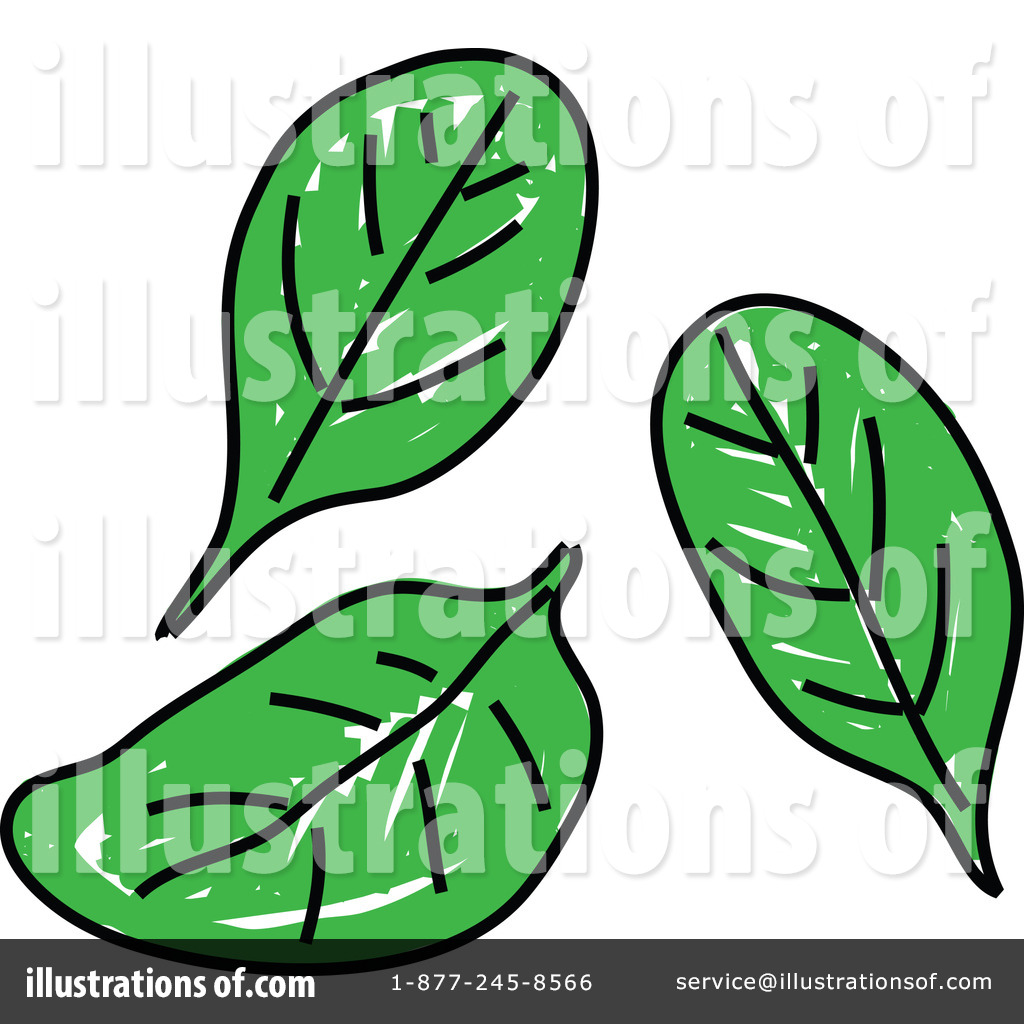 Spinach Clipart  66151 By Prawny   Royalty Free  Rf  Stock    