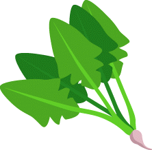 Spinach Clipart Alimenta 1spinach Gif