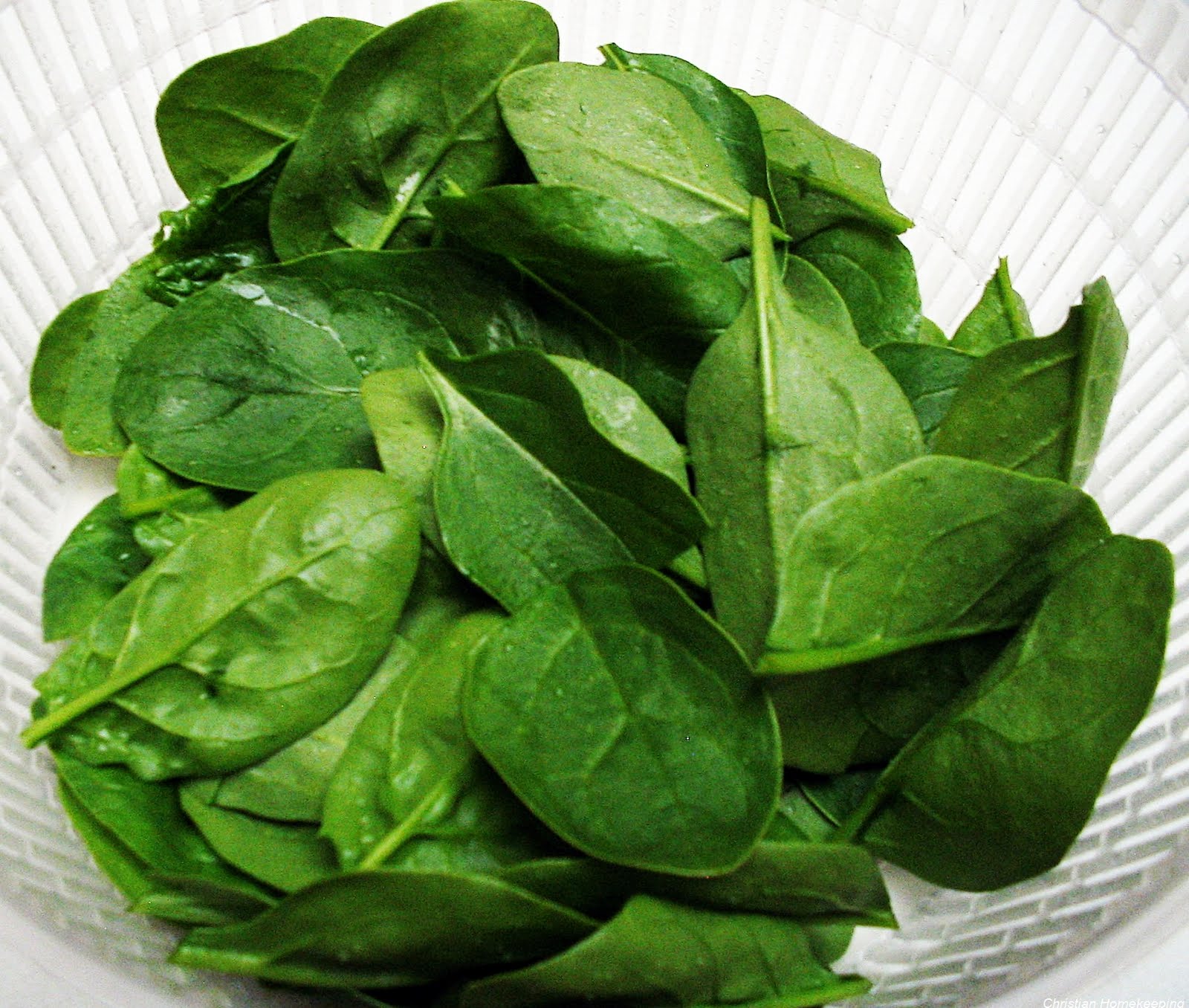 Spinach Clipart