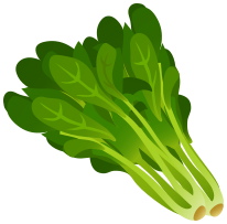 Spinach   Http   Www Wpclipart Com Food Vegetables Spinach Spinach Png    