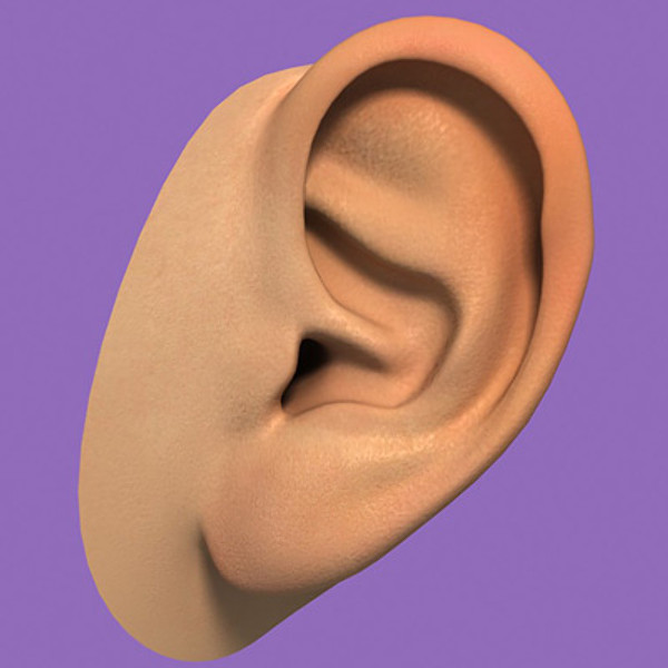 Big Brother S Big Plastic Ear Can Hear You 