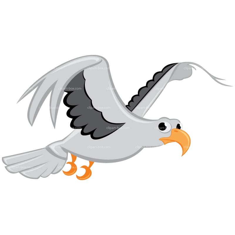 Clipart Flying Seagull   Royalty Free Vector Design
