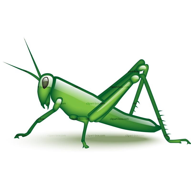 Clipart Grasshopper   Royalty Free Vector Design