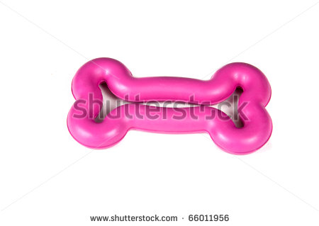 Dog Chew Toys Clipart Bright Pink Plastic Chew Toy