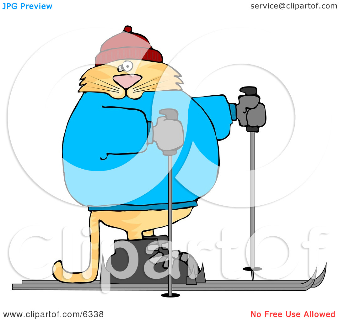Human Like Cat Cross Country Skiing Clipart Picture By Dennis Cox