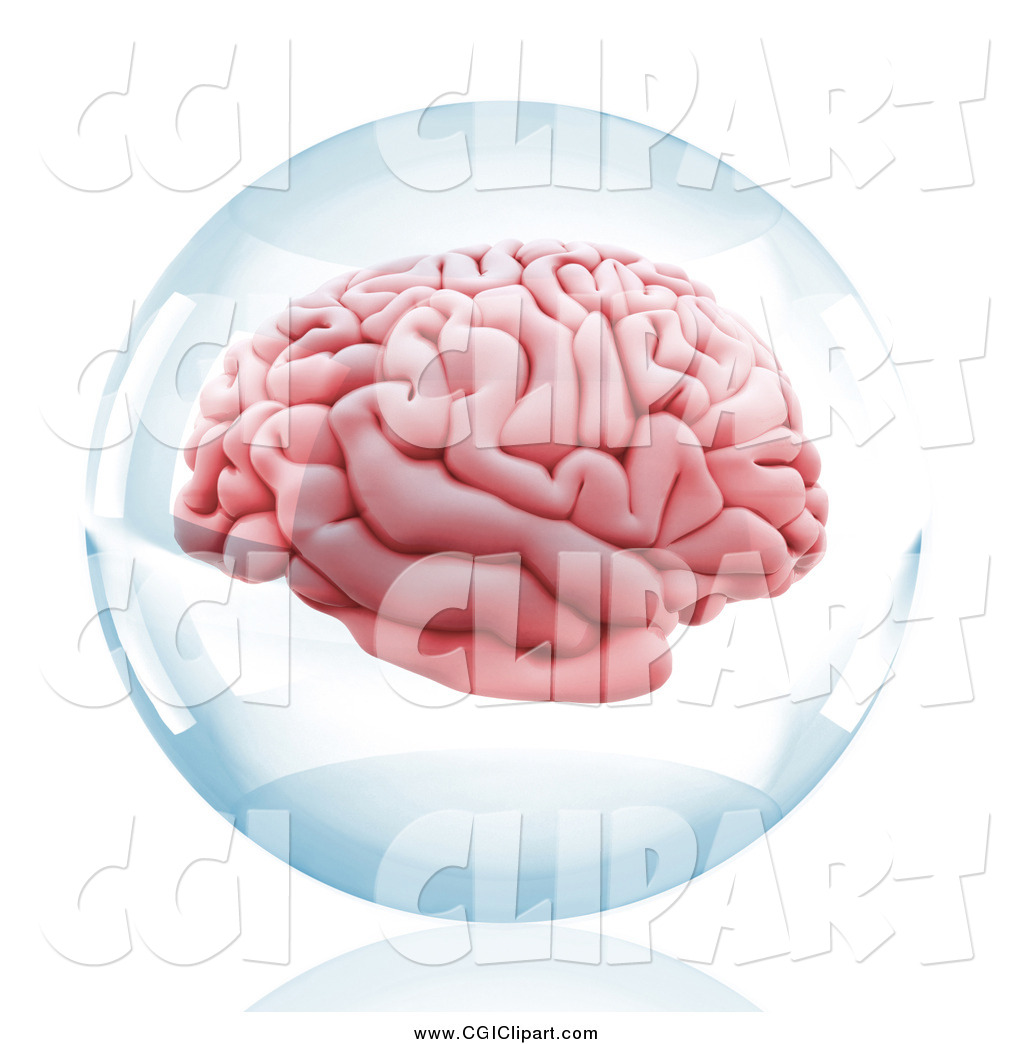 Larger Preview  Clip Art Of A 3d Human Brain In A Glass Orb By Andresr