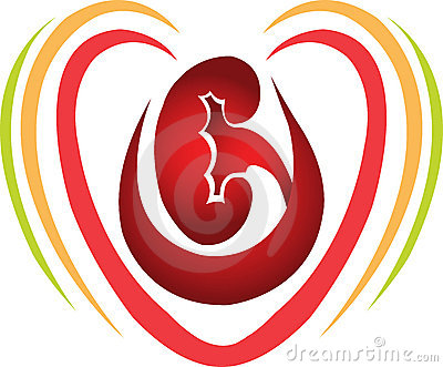 Cartoons On Illustration Art Of A Love Kidney With Isolated Background