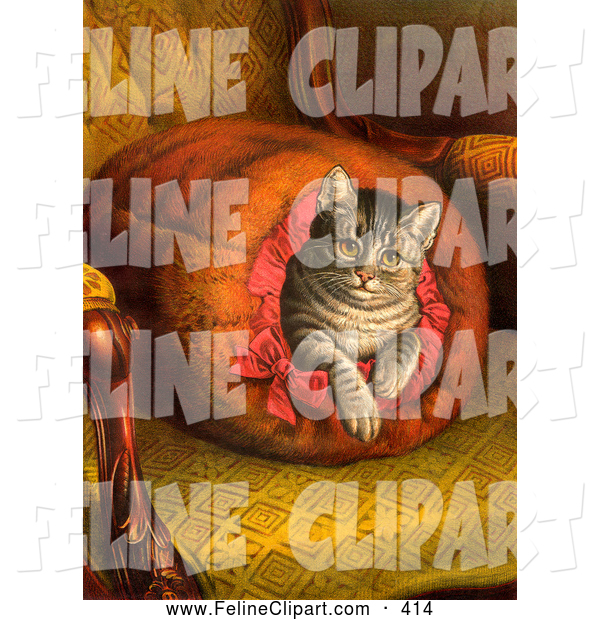 Cat Picture Clip Art Hands   Search Results   Animal Planet Galleries