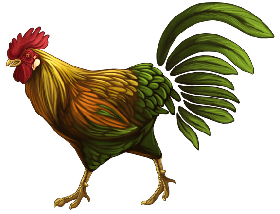 Kwan Kwest  Rooster Rooster