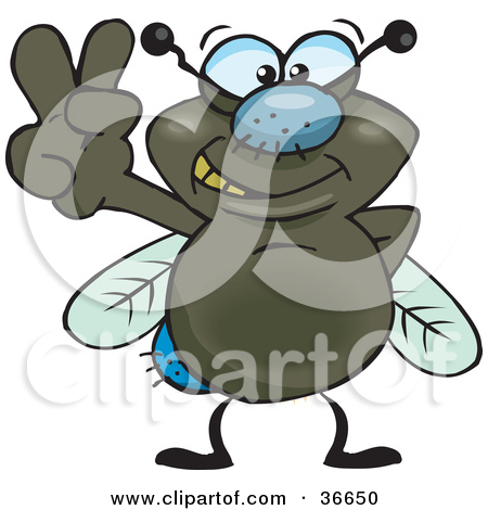 Royalty Free Stock Illustrations Of Flies By Dennis Holmes Designs